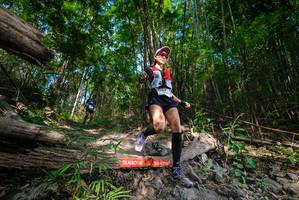 BIB: 
                            <button type="button" onclick="openModal(19387748)" class="btn btn-primary btn-sm float-right btn-popup" data-toggle="modal" data-target=".modal-high-quality">
                        <i class="fas fa-shopping-cart"></i> Add to Cart
                    </button>
                                            <button type="button" onclick="isThisMe(19387748, true)" class="btn btn-success btn-sm float-right btn-popup btn-isme hidden" data-toggle="tooltip" data-placement="bottom" title="นี่คือรูปของคุณใช่ไหม คลิกที่นี่เพื่อเอาเข้าอัลบั้ม">
                        <i class="fas fa-plus"></i> Add to album
                    </button>
                    <button type="button" onclick="isThisMe(19387748, false)" class="btn btn-warning btn-sm float-right btn-popup btn-isnotme hidden">
                        <i class="fas fa-ban"></i> Remove from album
                    </button>